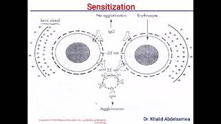 Antigen Antibody Reaction [upl. by Anekam]