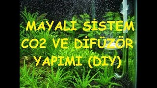 MAYALI SİSTEM CO2 VE DİFÜZÖR YAPIMI DIY [upl. by Astera564]