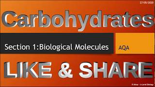 Carbohydrates Section 1  Biological molecules Alevel biology [upl. by Aihsel622]