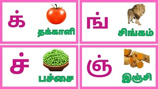 மெய் எழுத்துக்கள்  mei eluthukkal in tamil  lettters kidswithfunlearning [upl. by Conlen]