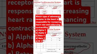 Which type of adrenergic receptor in the heart [upl. by Skip]