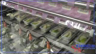 ORICS PB1000 8Up MAP apples and dip tray sealing machine [upl. by Reisinger824]