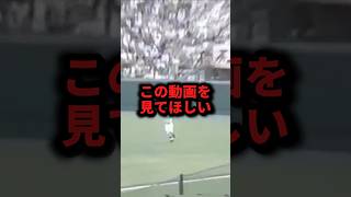 この動画を見てほしい松山商業バックホーム野球甲子園野球解説 [upl. by Goth]