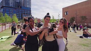 Downtown Dallas Goat Yoga Recap Video [upl. by Ahsitak695]