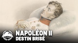 Le destin brisé de lAiglon  La petite Histoire  TVL [upl. by Swords]