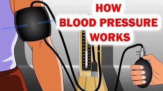 How Blood Pressure Works Animation  Sphygmomanometer  Blood Pressure [upl. by Imot]