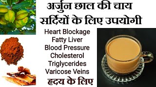 अर्जुन छाल की चाय  Arjun chaal ki chai recipe  Best tonic for heart Heart blockage heartattack [upl. by Benilda]