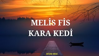 Melis Fis  Kara Kedi SözleriLyrics [upl. by Cash124]