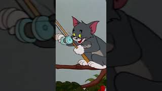 The Ants Picnic Heist  Tom amp Jerry  Cartoonito  shorts [upl. by Holman617]