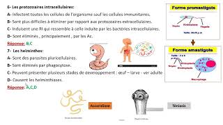 Exercices dapplication sur limmunité antiparasitaire [upl. by Whit152]