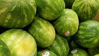 Costco Seedless Watermelon 499 amp How to pick a ripe watermelon [upl. by Llevra482]