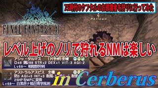 FF11 クフタルに沸くレベル上げPTでやれちゃうNMやってみた [upl. by Abih]