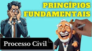 Princípios Fundamentais Processo Civil  Resumo Completo [upl. by Dadivitan]