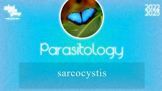 L1part 3 Sarcocystis Parasitology [upl. by Dino]