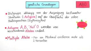 Blutgruppen AB0 und Rhesusfaktor und ihre Vererbung  Biologie  Genetik [upl. by Seale]