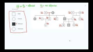 Pedigree diagrams in Genetics  IGCSE Biology  IB Biology [upl. by Ralli]