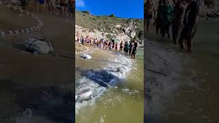 Mira lo que encontraron unos pescadores en el mar [upl. by Jael]