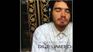 Muhammad Milad  Dil e Umeed Official Audio [upl. by Corinne727]