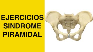 Sindrome Piramidal  Piriforme  Estiramiento Piramidal y Pinzamiento del Nervio Ciatico  Ciatica [upl. by Rand435]