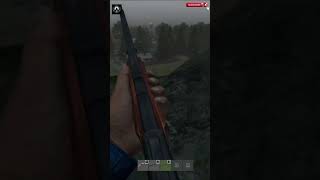 Bitterroot rock shot shorts live dayzlivestream livegaming [upl. by Llerrac]