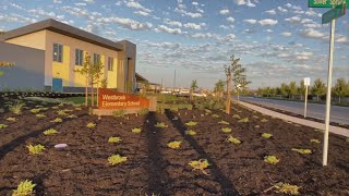 Rosevilles Westbrook Elementary welcomes hundreds of students for first day [upl. by Willa91]