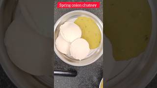 Super tasty spring onion chutney subscribe shorts trending [upl. by Fabe]