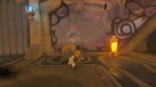 Vah Medoh walkthrough Bird Dungeon  All Chests and Terminals  Breath of the Wild [upl. by Naul]