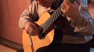 Giuseppe Verdi Va pensiero Guitar Transcription Ganesh Del Vescovo [upl. by Dannon610]