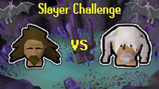 THE SLAYER CHALLENGE  Episode 77 [upl. by Charlotte]