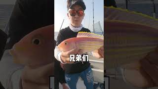 竟然釣到了昂貴的金線魚！太漂亮了 fishing 釣魚 [upl. by Niroht]