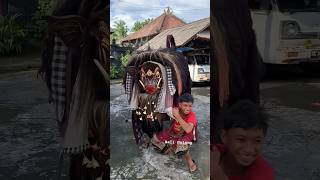 Barong bangkung Manak [upl. by Peppie]