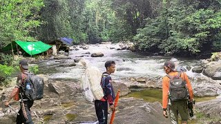 4 hari berburu ikan sultan  Di sungai tengah hutan Kalimantan [upl. by Collier]