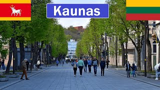 Lithuania  Kaunas walk in Liberty Avenue and old town 4K [upl. by Araas]