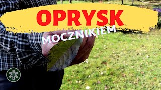 Czym opryskać drzewka owocowe jesienią [upl. by Prima]