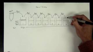 Concentrations Part 5  serial dilution [upl. by Cissie]