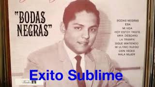 Julio Jaramillo  Pasionarias Full Audio Original [upl. by Aleahs211]