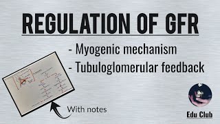 Regulation of GFR  Renal Physiology [upl. by Sidra]