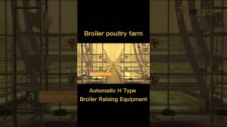 Poultry farming equipment for broilers products chicken cage for sale  RETECH Farming [upl. by Annawaj]