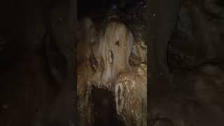 Under the Cave  cave  viral video in 60se ytshort youtubeshorts nature [upl. by Rask]