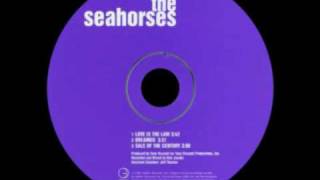 The Seahorses  Dreamer BSide [upl. by Secundas]