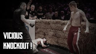 The MOST BRUTAL BareKnuckle Boxing TOP DOG 29 HIGHLIGHTS [upl. by Nylidnam]