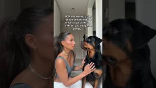 THERE WAS A MIX UP 🤣 ​nalatheneedyrottie rottweiller [upl. by Eicram682]