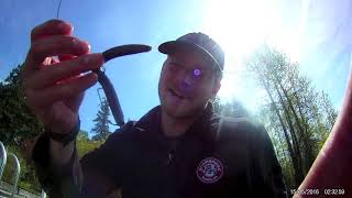 Shawnigan lake bass fishing vancouver island [upl. by Arec]