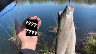 The BEST Trout Lure of all Time [upl. by Gillmore]