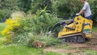 How to Remove Ornamental Grasses [upl. by Akeim]