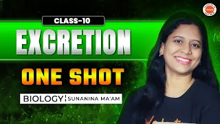 Excretion  One Shot  Class 10 Biology  SSC CBSE AP amp TS State Boards [upl. by Eitsud]