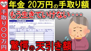 【2024年10月最新版】年金20万円の手取り額！天引きされる税金が驚愕の結果に…もう生きていけない！ [upl. by Easter]