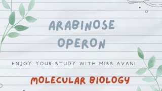 Arabinose Operon  Molecular Biology [upl. by Enenstein982]