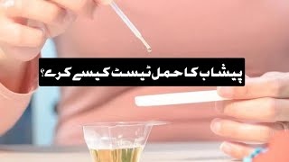 Urine Pregnancy Test kaise karein Quick Guide [upl. by Harriett662]