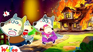 Run Wolfoo House is Burning  Wolfoo Learns Safety Tips  Fire Safety Cartoon  Wolfoo Family [upl. by Orth703]